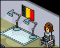 Belgische vlag in de Meubel Database